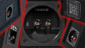 Subwoofer Enclosure Terminals Cups and Connections