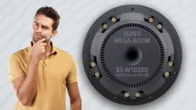 A confused man and a subwoofer